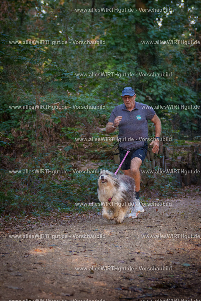 THS_Turnier_27-09-2026-allesWIRTHgut_Tierfotografie-7R505028 | Professionelle Tierfotografie in Mönchengladbach von Daniel Wirth (allesWIRTHgut). Liebevolle & natürliche Bilder von Hunden & Katzen für unvergessliche Erinnerungen.