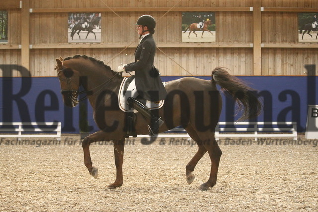 Turnier_Zeutern_2022_Prfg.Nr.02_Kurz-GrandPrix_Martina Steisslinger_Favory 40 (20) | Alle Fotos der Reiterjournal Fotografin Doris Matthaes im Reiterjournal Online-Fotoshop. - Realisiert mit Pictrs.com
