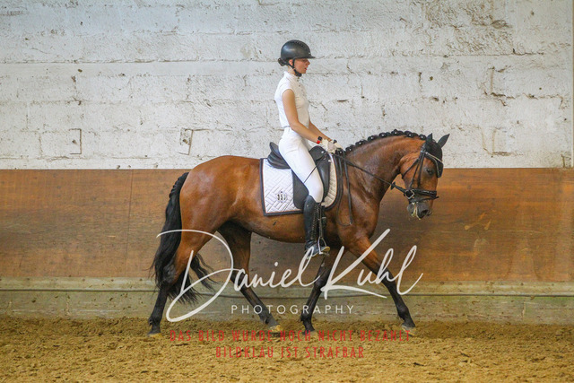 DKP44316 | Turniersportfotografie; Pferdefotografie; Dressurfotografie