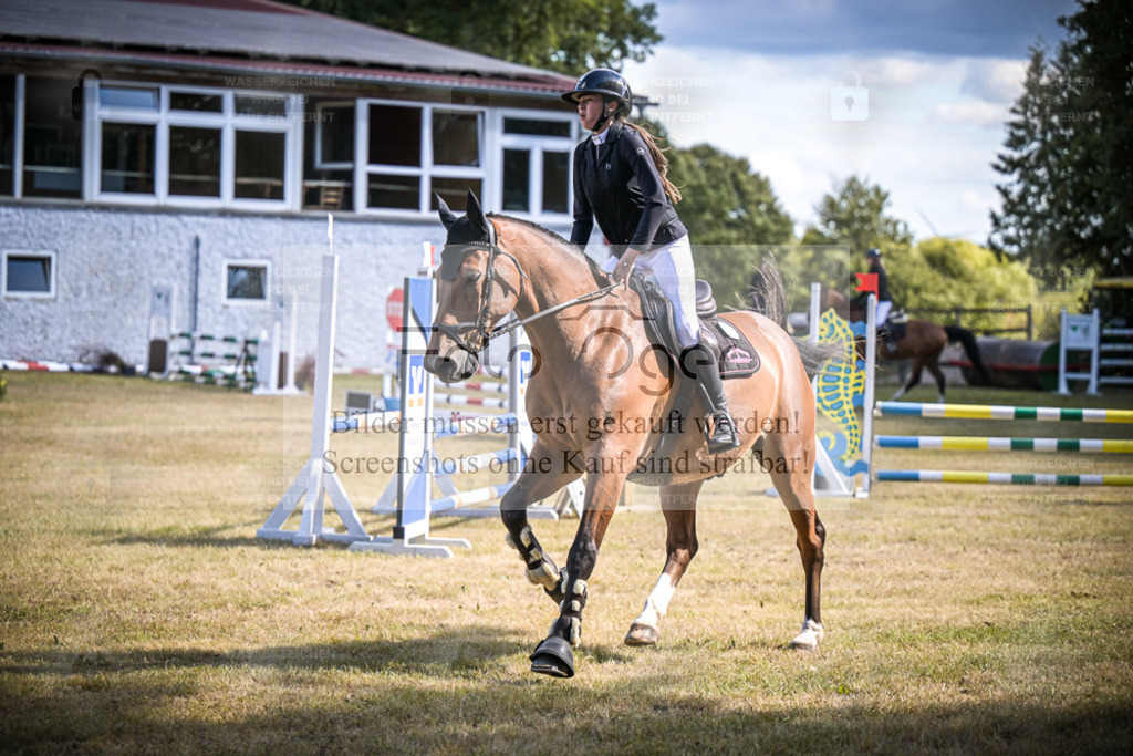 DOS_0982 | Entdecke hochwertige Reitturnierfotos von Foto Oger. Professionell, emotional und authentisch – jetzt Lieblingsmomente im Shop bestellen. - Realisiert mit Pictrs.com