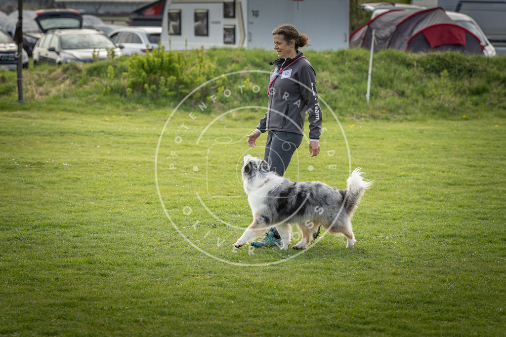Pfotenfotografie_DV3A4905 | Hundefotografie, Tierfotograf, Pfotenfotografie, Fotoshooting Hund, Hunde Portrait, Hundesport, Hundeportraits, Heideshooting, Hunde, Sportfotograf, Hundefotograf, Turnierhundsport, THS,  - Realisiert mit Pictrs.com