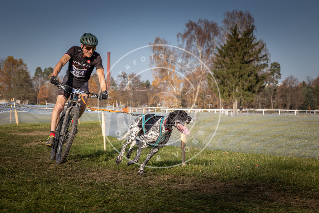 CaniXpix_0L8A7158 | Hundefotografie, Tierfotograf, Pfotenfotografie, Fotoshooting Hund, Hunde Portrait, Hundesport, Hundeportraits, Heideshooting, Hunde, Sportfotograf, Hundefotograf, Turnierhundsport, THS,  - Realisiert mit Pictrs.com