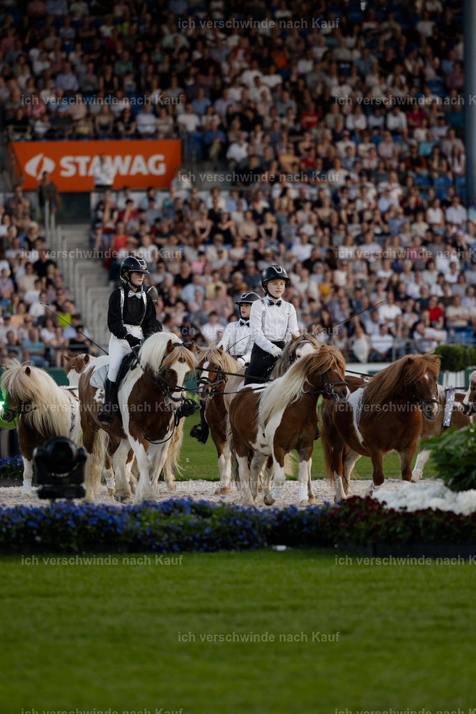 TSCHIO26_PferdundSinfonie_Stoibphotography_AM10806.jpg | working equitationturnier fotograf videograf stoibphotography marixx film working equitation deutschland reitsport turnierfotografie eventfotografie equestrian events