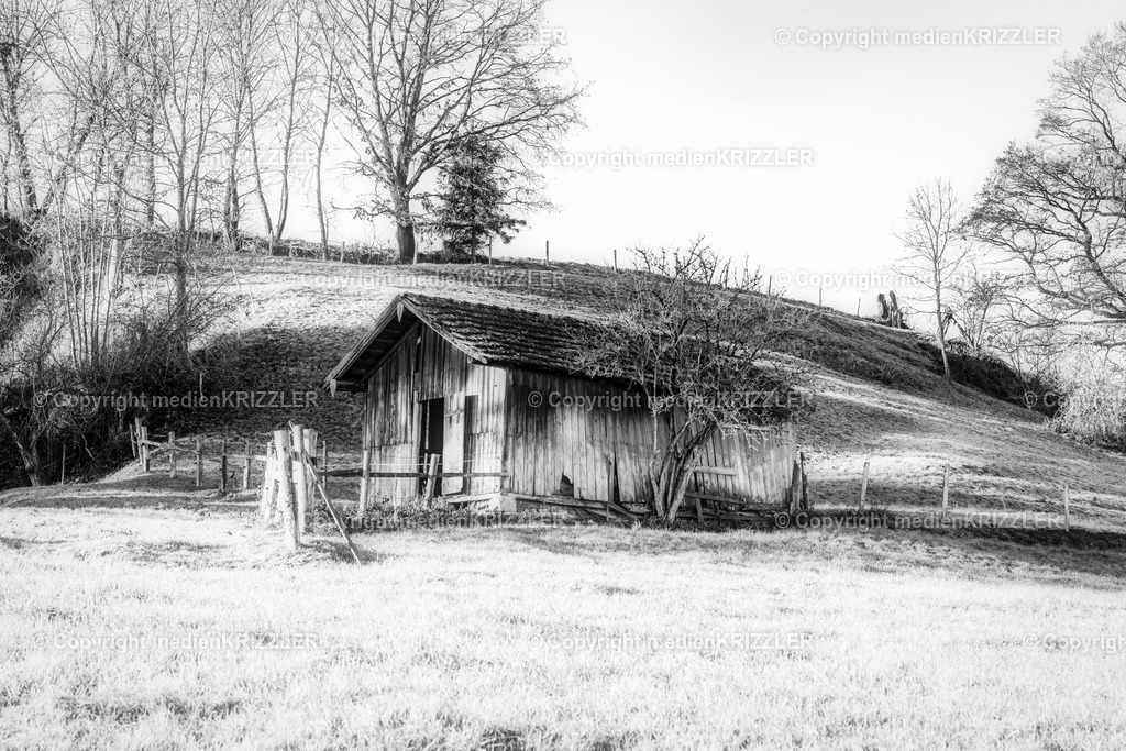 _J3A9880 | medienkrizzler - Realisiert mit Pictrs.com