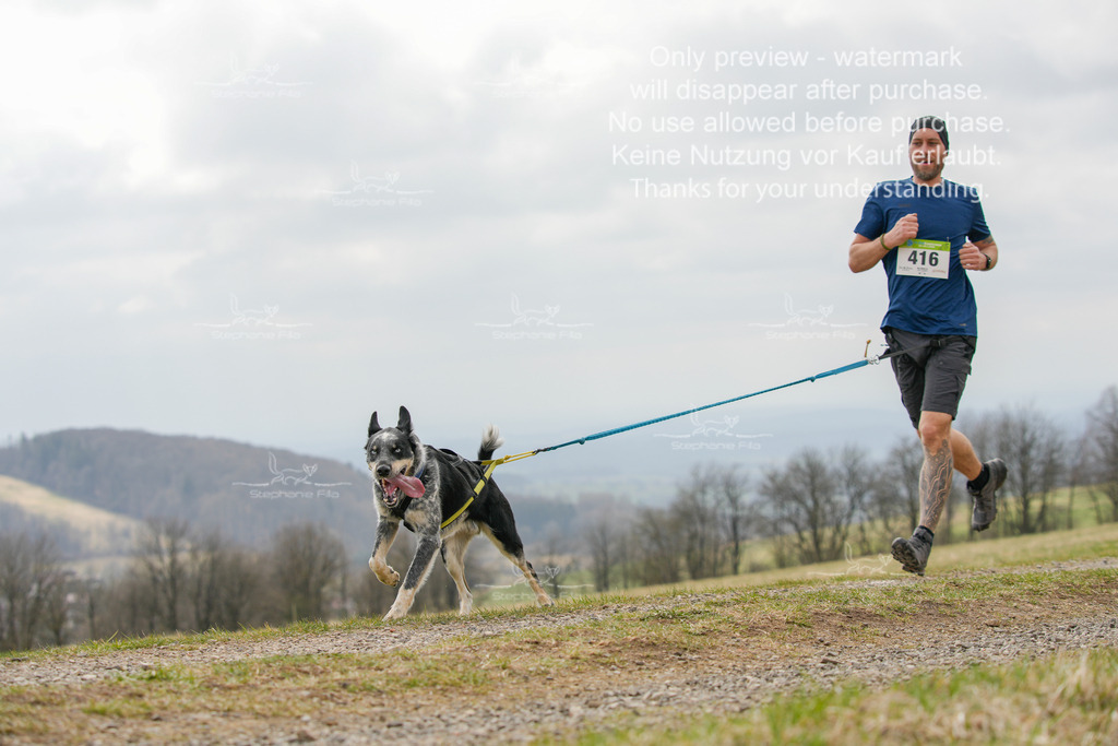 CaniXRunSA-94 | stephaniefillaphotographie - Realisiert mit Pictrs.com