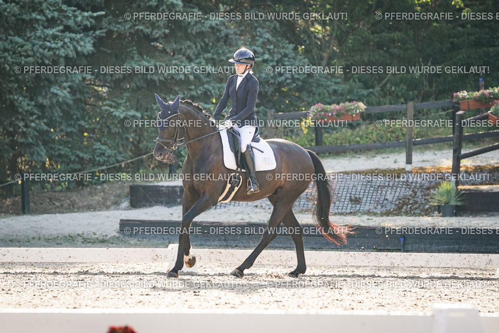 DSC08226 | Pferdegrafie