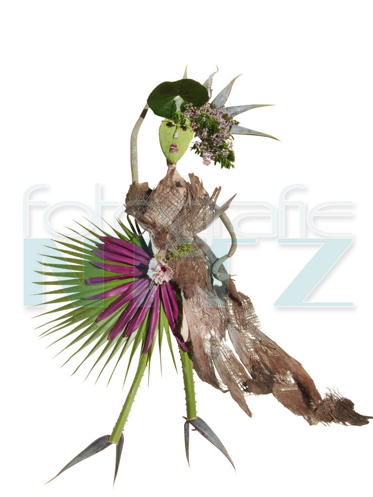 14 | Nitz Fotografie aus Montabaur bietet Ihnen hier die Möglichkeit Bilder auszusuchen und zu bestellen. 