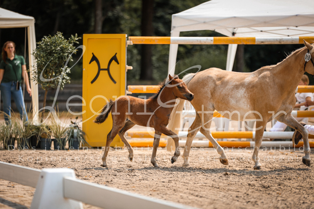 04.DoWP00067 | Leoni Ertmer Photography - Realisiert mit Pictrs.com