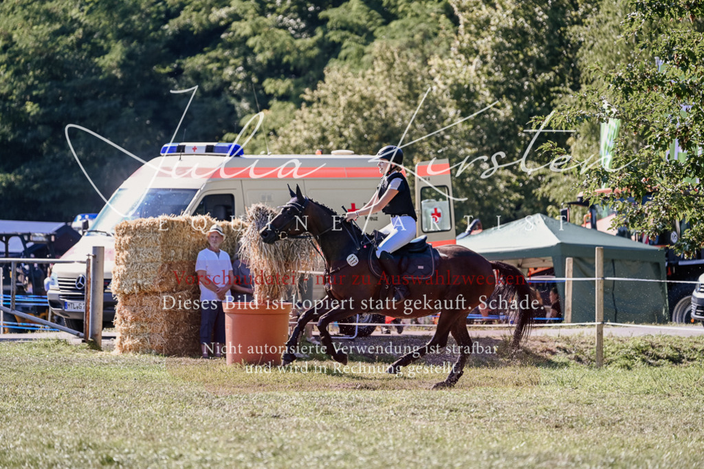 DSC_3298 | Pferde- und Turnierfotografie in Westsachsen. Pferdeportraits, Auftragszeichnungen und intuitive Kunst.