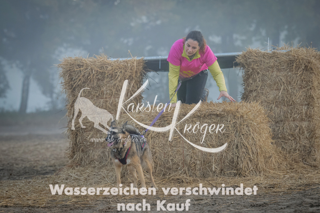 0823_ZZ97801 | kk-dogfotos