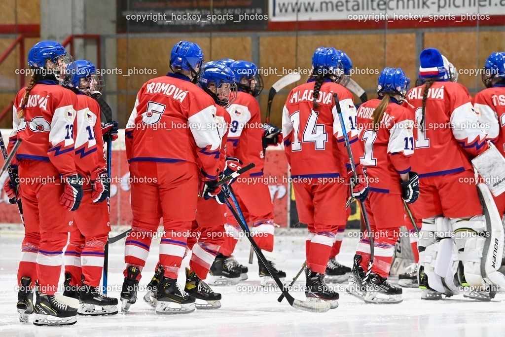 BST_5538 | hockey sports photos, Pressefotos, Sportfotos, hockey247, win 2day icehockeyleague, Handball Austria, Floorball Austria, ÖVV, Kärntner Eishockeyverband, KEHV, KFV, Kärntner Fussballverband, Österreichischer Volleyballverband, Alps Hockey League, ÖFB, 