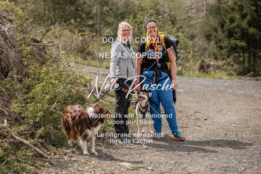 6Z1A1258 | nelerasche