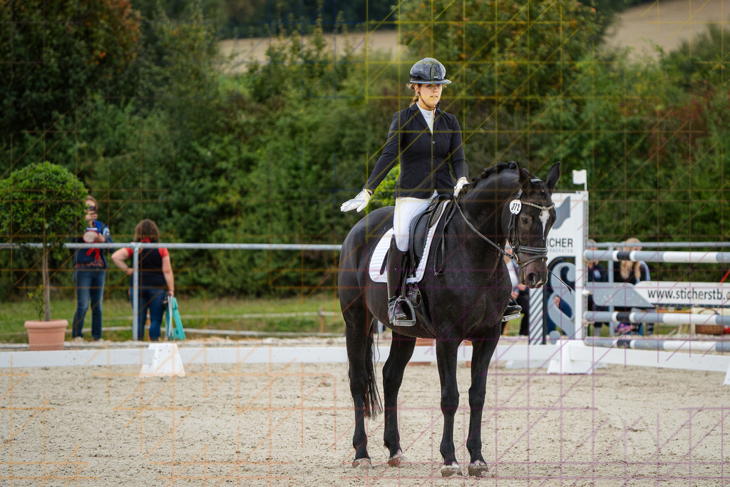 202609261629DSC08390 | Mario Konang lightrecords.de - Realisiert mit Pictrs.com