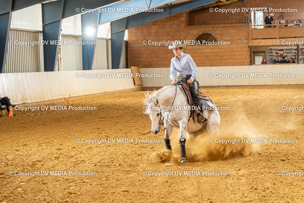 MIT01347 | dv-media-shop - Realisiert mit Pictrs.com