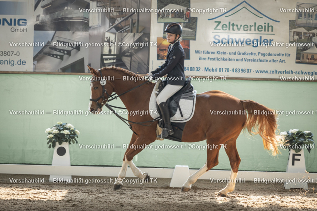 _D5A5549 | Emotionale Pferde- & People-Fotografie rund um Heidelberg, Leimen & Umgebung. Natürliche Fotos von Pferd, Mensch & Familie. Jetzt Termin sichern!