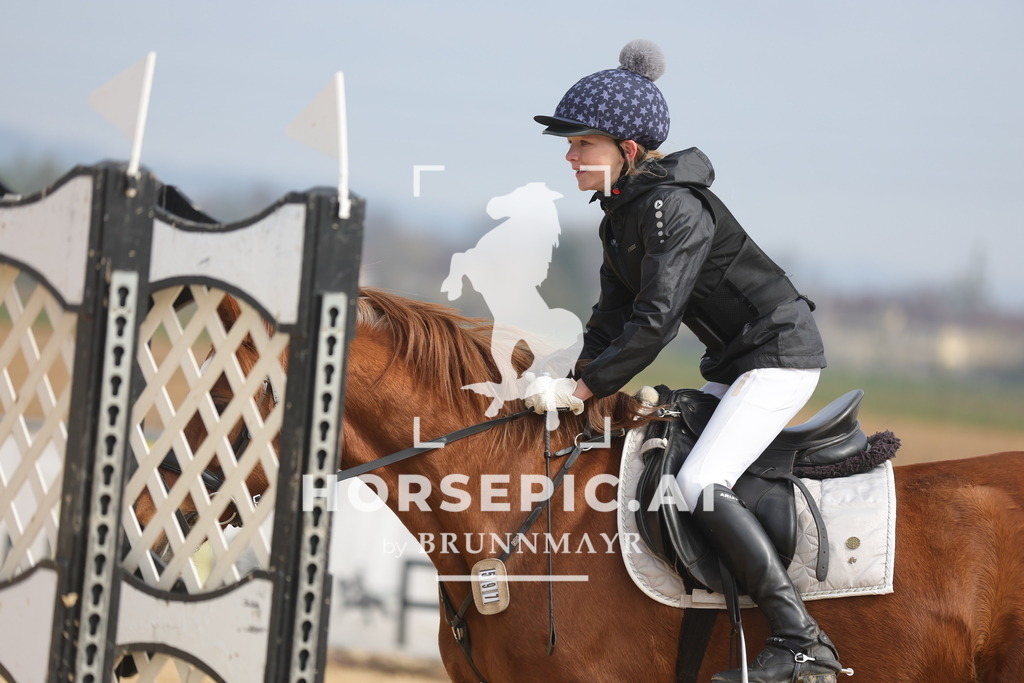 0P6A9244 | Willkommen bei Brunnmayr - Design & Fotografie – Ihrem Spezialisten für Reitturniere und Pferdeveranstaltungen in Oberösterreich, Salzburg und Bayern! Seit über 17 Jahren sind wir leidenschaftlich dabei.