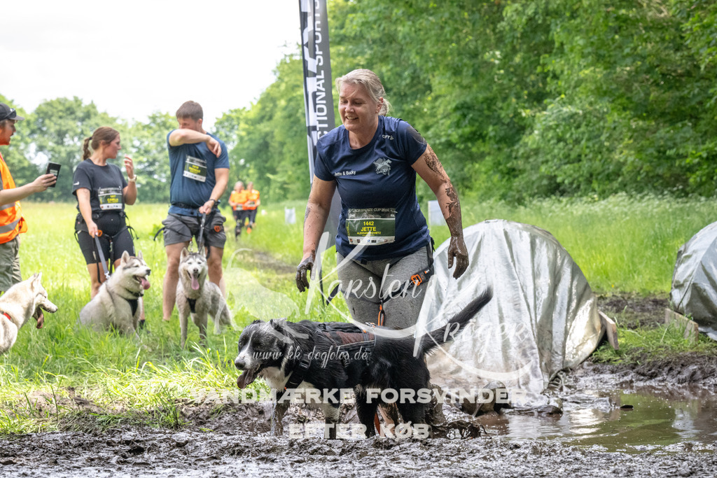1252_ZZ94001 | kk-dogfotos