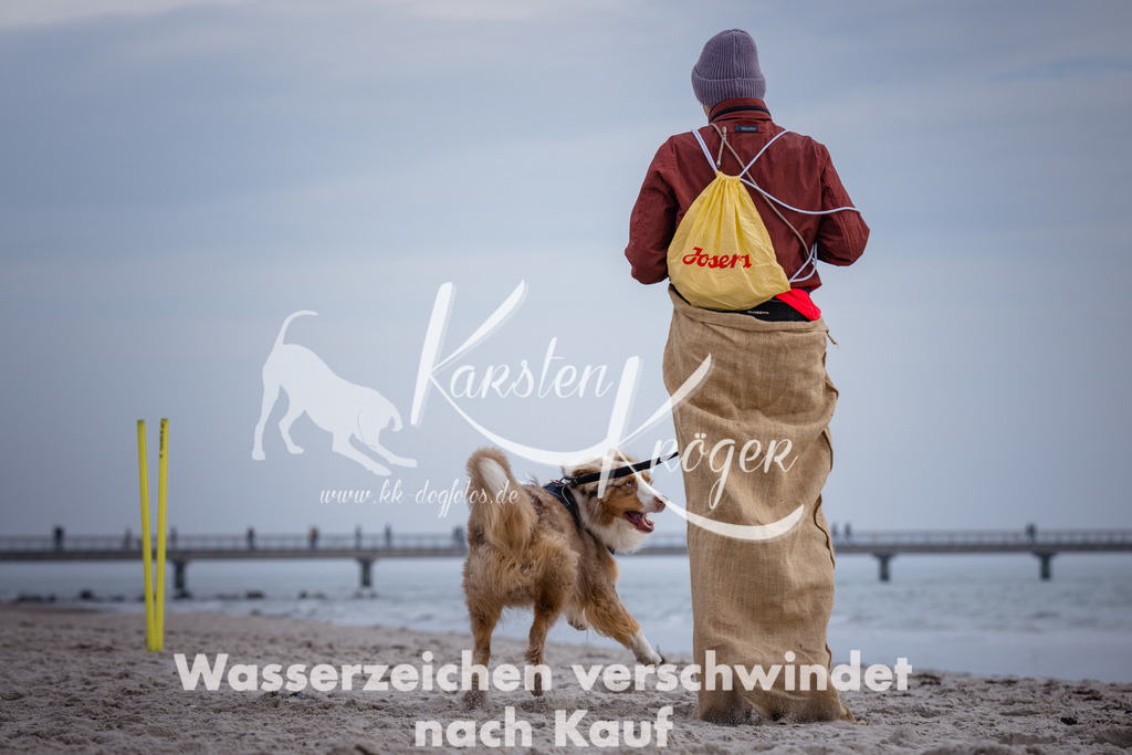1146_ZZ90601 | kk-dogfotos