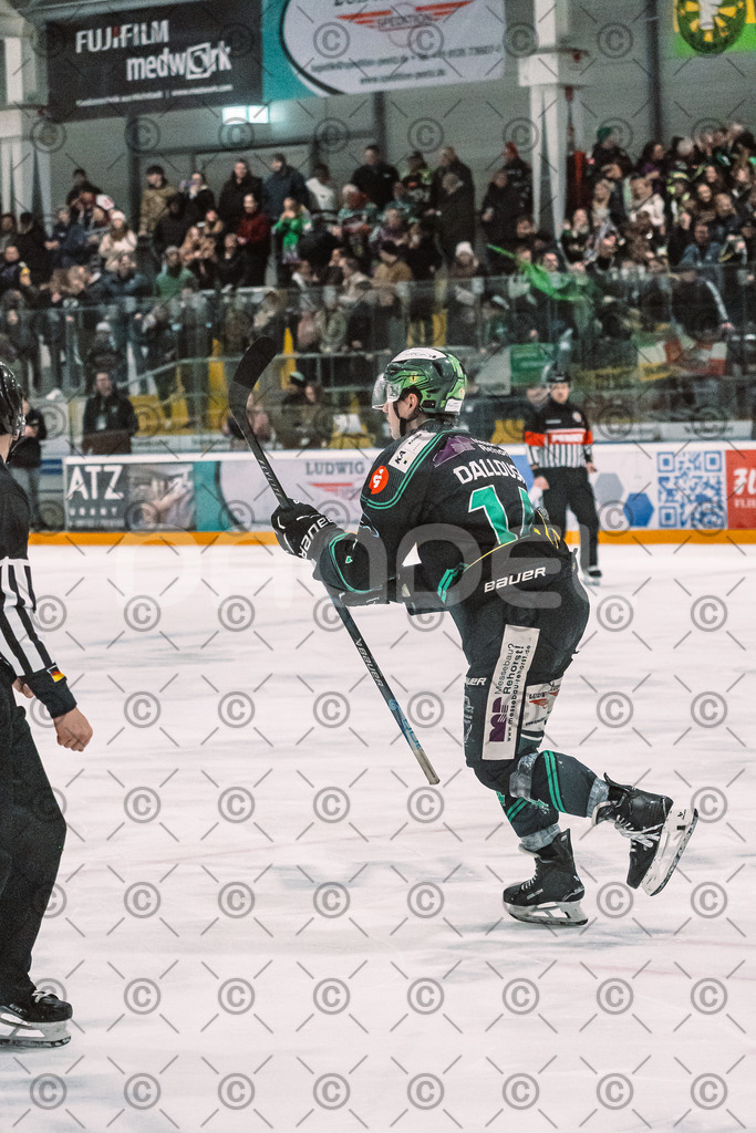 Alligators_vs_Erding_12_12_2025-176 | Höchstadt Alligators Fotogalerie: Eishockey-Action aus Franken. Professionelle Spielfotos, Portraits & Stadionbilder zum Download. Jetzt entdecken! - Realisiert mit Pictrs.com
