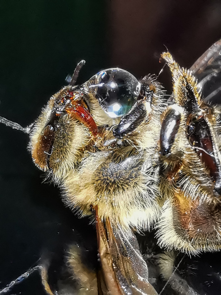 PSX_20230129_004037 | mtkfoto_ - Realisiert mit Pictrs.com