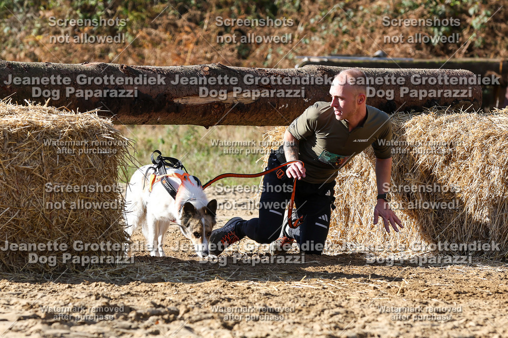 Dog Paparazzi - Strongdog 10-25-4814 | Dog Paparazzi Jeanette Grottendiek Fotografie & Videografie - Realisiert mit Pictrs.com