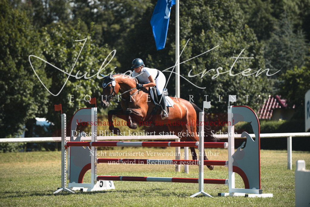 DSC_7249 | Pferde- und Turnierfotografie in Westsachsen. Pferdeportraits, Auftragszeichnungen und intuitive Kunst.
