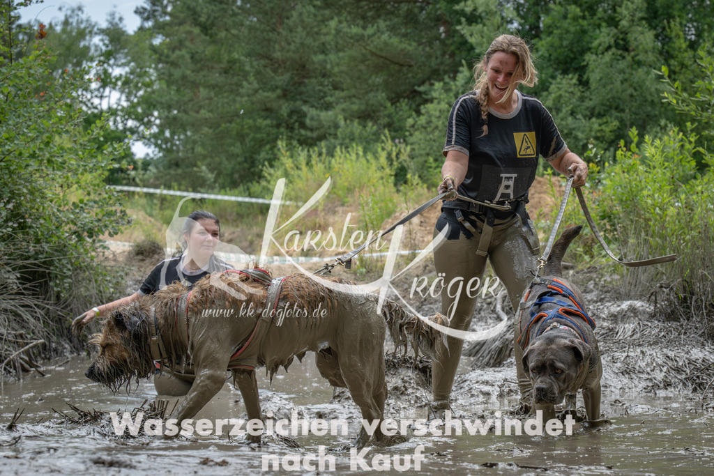 1451_ZZ90870-Verbessert-RR | kk-dogfotos