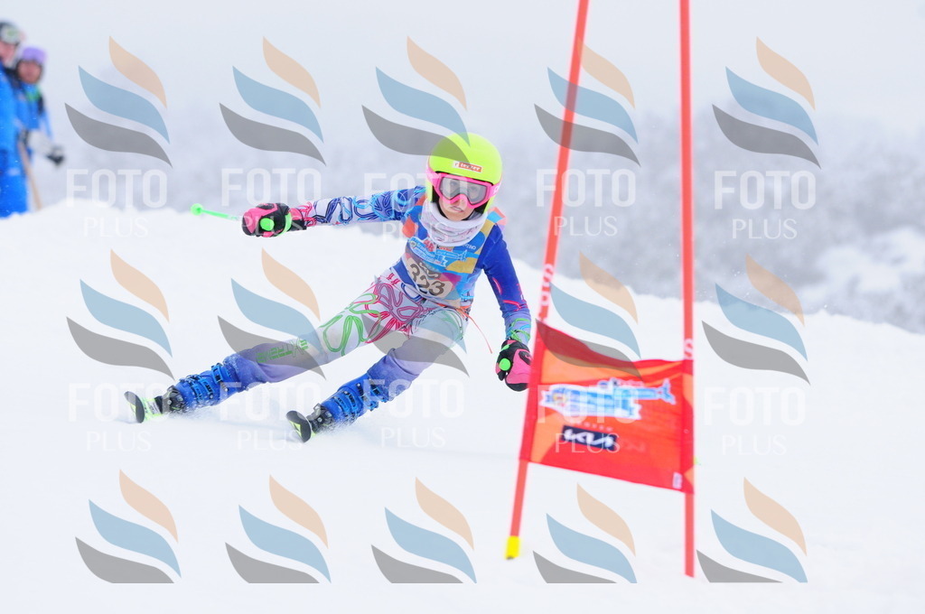 C3444 | holidayphoto