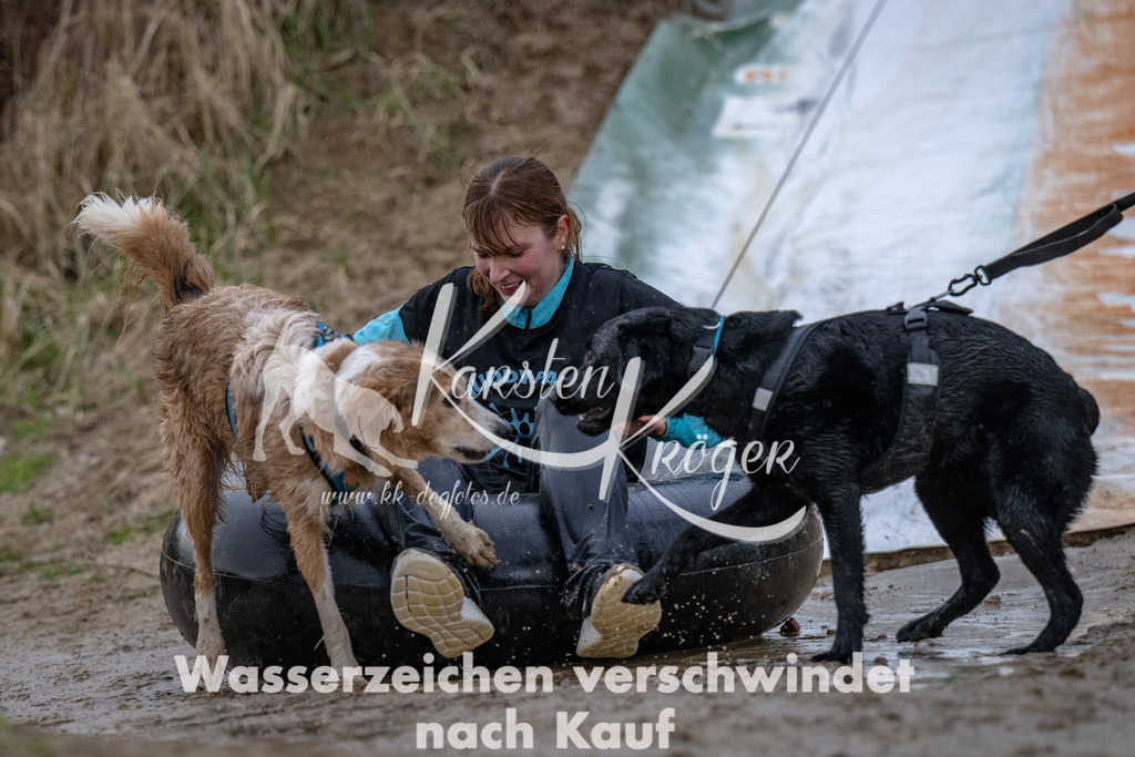 1532_ZZ94246 | kk-dogfotos