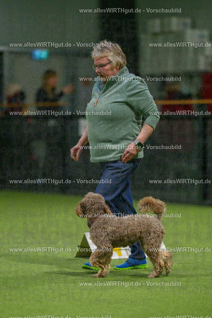 7R509163 | Professionelle Tierfotografie in Mönchengladbach von Daniel Wirth (allesWIRTHgut). Liebevolle & natürliche Bilder von Hunden & Katzen für unvergessliche Erinnerungen.