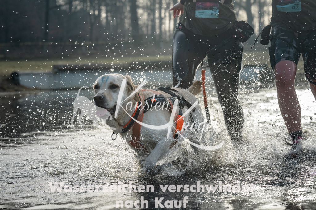 0849_ZZ98620 | kk-dogfotos