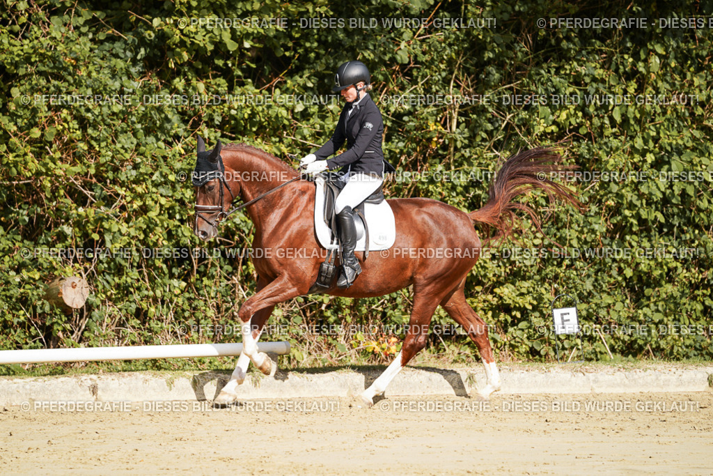 DSC08797 | Pferdegrafie