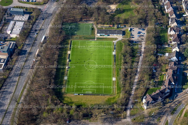 Gelsenkirchen240300502 | Luftbild, Fußballstadion des Erler SV 08 e. V. und Fußballspieler auf dem Feld, von Bäumen umgeben, Wohngebiet, Erle, Gelsenkirchen, Ruhrgebiet, Nordrhein-Westfalen, Deutschland