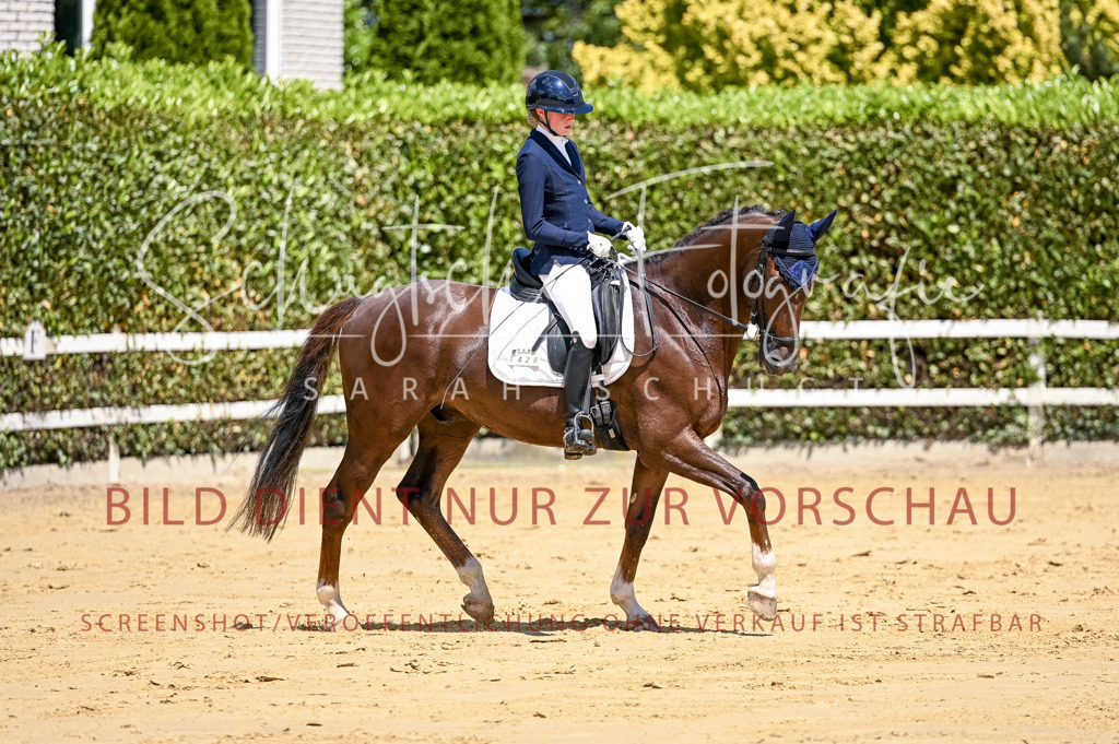 Schugtsche-Aluta25-49.Dressurpferdeprf.A-15 | Schugtsche Fotografie - Realisiert mit Pictrs.com