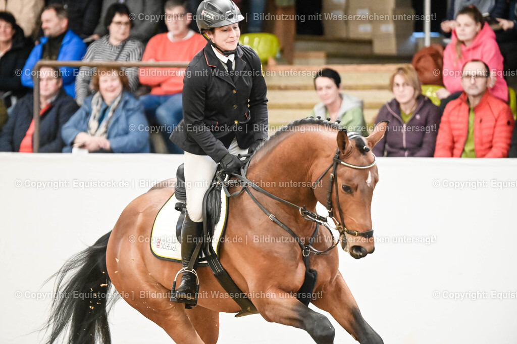 20260307_Hengstvorstellung-Marbach_0033 | equistock