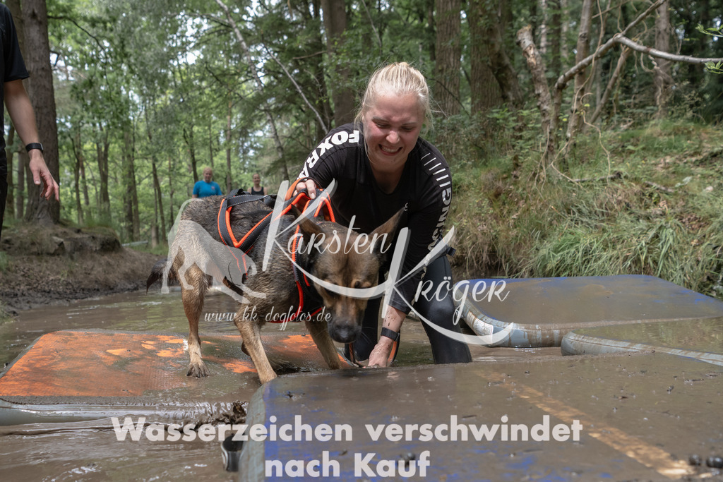 1331_ZZ94338 | kk-dogfotos