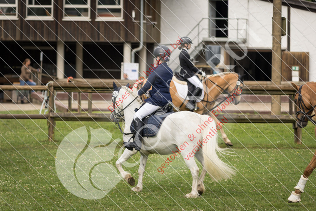 IMG_1605 | Sport-, Event- und Tierfotos in Profiqualität. Einfach auswählen, bestellen und herunterladen. Dein Moment – perfekt festgehalten.
