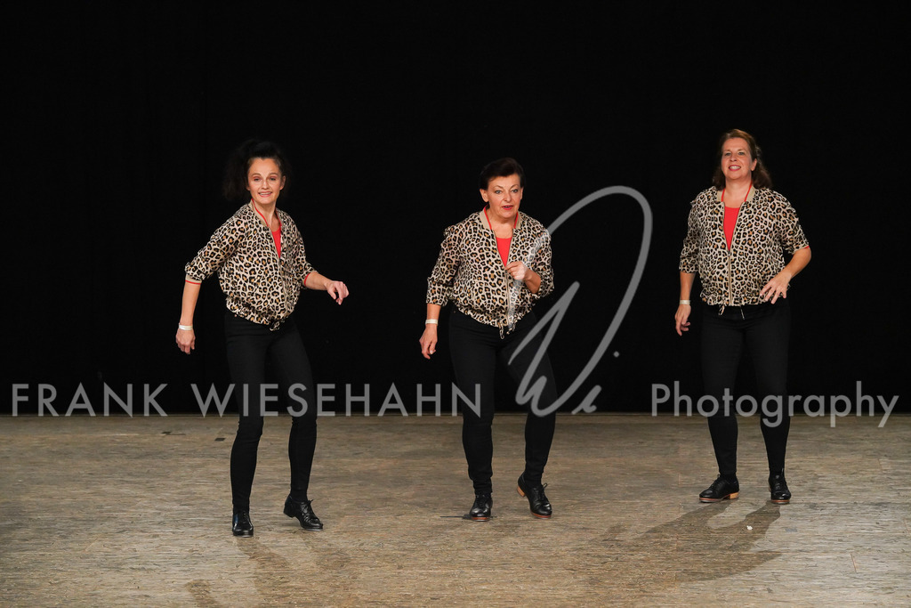 steppdm22_5088 | FRANK WIESEHAHN MEDIA - Realisiert mit Pictrs.com