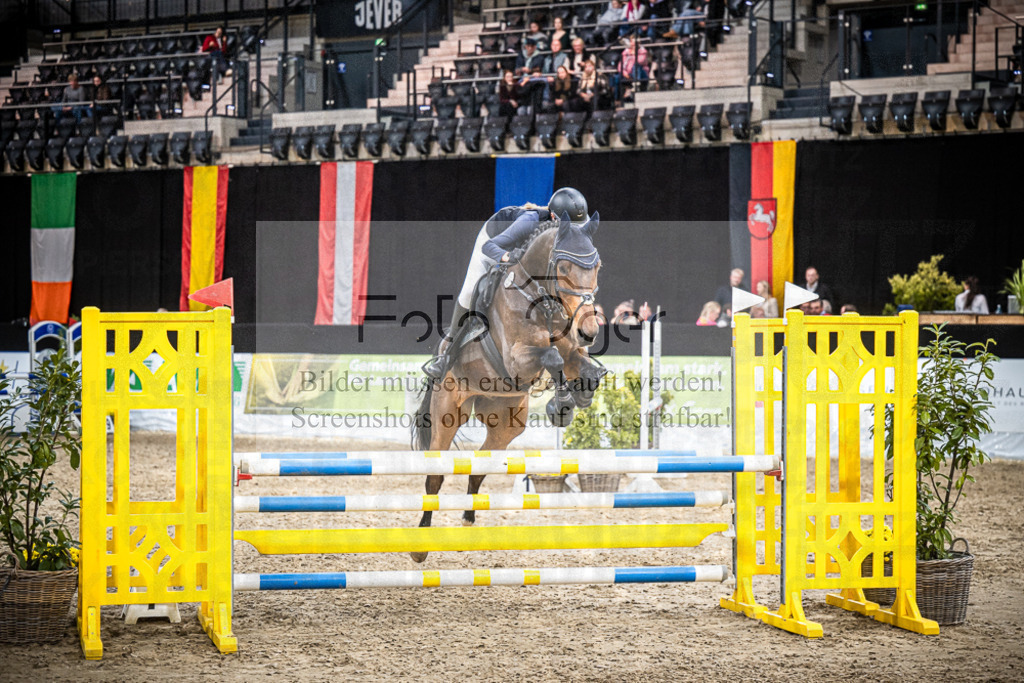 DOS_2987 | Entdecke hochwertige Reitturnierfotos von Foto Oger. Professionell, emotional und authentisch – jetzt Lieblingsmomente im Shop bestellen.Deutschlandweite Turnierfotografie. - Realisiert mit Pictrs.com
