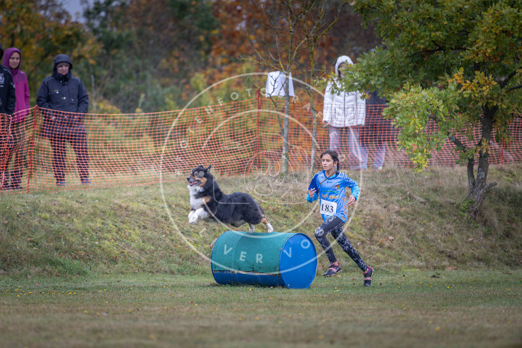 Pfotenfotografie_DV3A0367 | Hundefotografie, Tierfotograf, Pfotenfotografie, Fotoshooting Hund, Hunde Portrait, Hundesport, Hundeportraits, Heideshooting, Hunde, Sportfotograf, Hundefotograf, Turnierhundsport, THS,  - Realisiert mit Pictrs.com