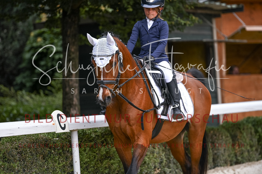 Schugtsche-Aluta25-44.DresssurreiterWB-34 | Schugtsche Fotografie - Realisiert mit Pictrs.com