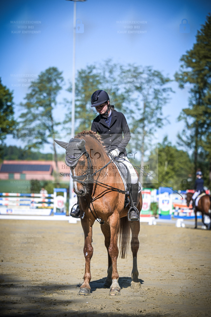 DOS_4492 | Entdecke hochwertige Reitturnierfotos von Foto Oger. Professionell, emotional und authentisch – jetzt Lieblingsmomente im Shop bestellen. - Realisiert mit Pictrs.com