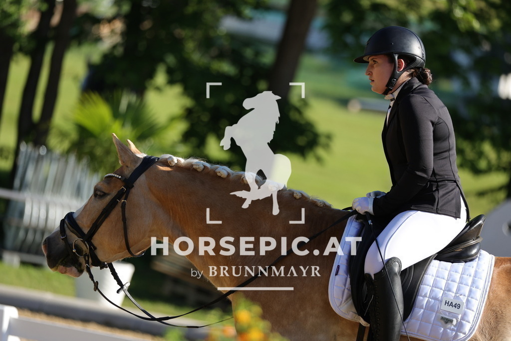 0P6A9371 | Willkommen bei Brunnmayr - Design & Fotografie – Ihrem Spezialisten für Reitturniere und Pferdeveranstaltungen in Oberösterreich, Salzburg und Bayern! Seit über 17 Jahren sind wir leidenschaftlich dabei.