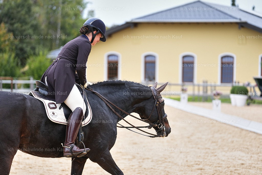 11-191-Dressur S___-Marixx-1809 | working equitationturnier fotograf videograf stoibphotography marixx film working equitation deutschland reitsport turnierfotografie eventfotografie equestrian events