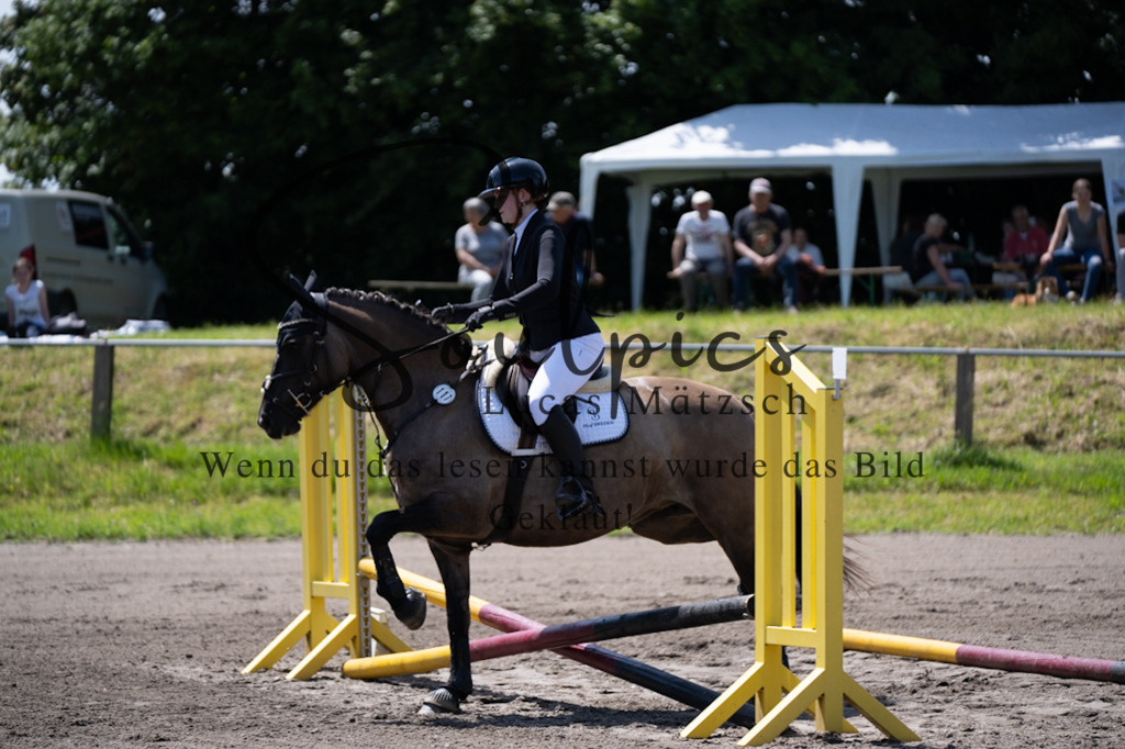 A7V04417 | Pferdefotograf