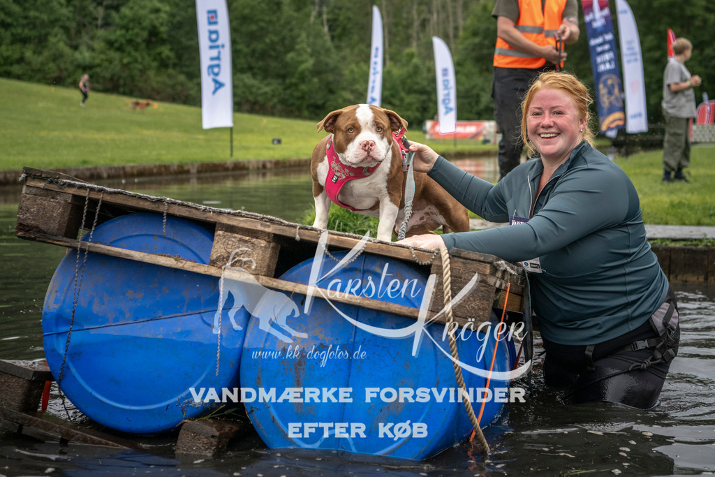 1005_ZZ94234 | kk-dogfotos