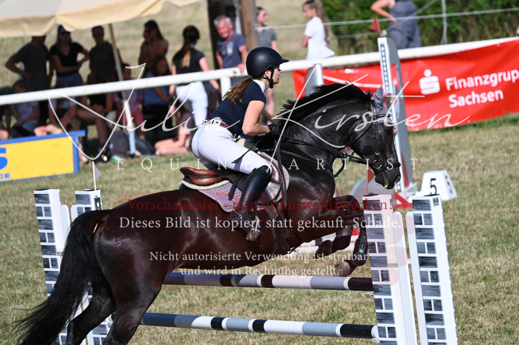 DSC_2477 | Pferde- und Turnierfotografie in Westsachsen. Pferdeportraits, Auftragszeichnungen und intuitive Kunst.