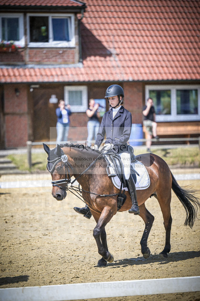 DOS_6149 | Entdecke hochwertige Reitturnierfotos von Foto Oger. Professionell, emotional und authentisch – jetzt Lieblingsmomente im Shop bestellen.Deutschlandweite Turnierfotografie. - Realisiert mit Pictrs.com