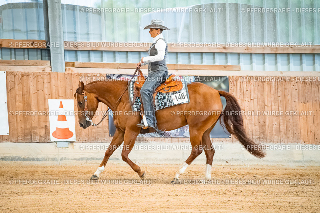 DSC00009 | Pferdegrafie