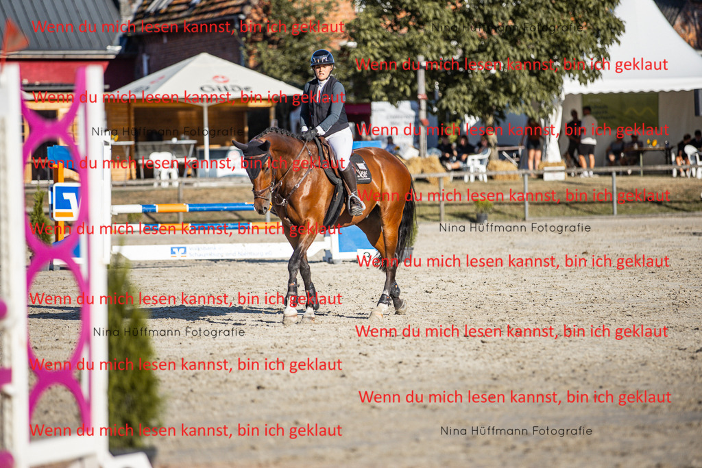 BK1A7828 | Turnierbilder Turnierfotos Nina Hüffmann Turnierfotografie Pferdefotografie Tierzeichnung Haustierzeichnung Pferdezeichnung Hundezeichnung Videograf  - Realisiert mit Pictrs.com